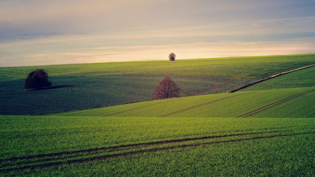 land