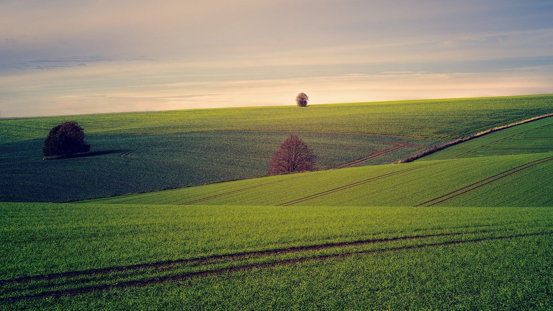 land
