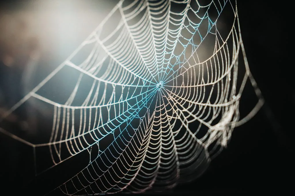 web