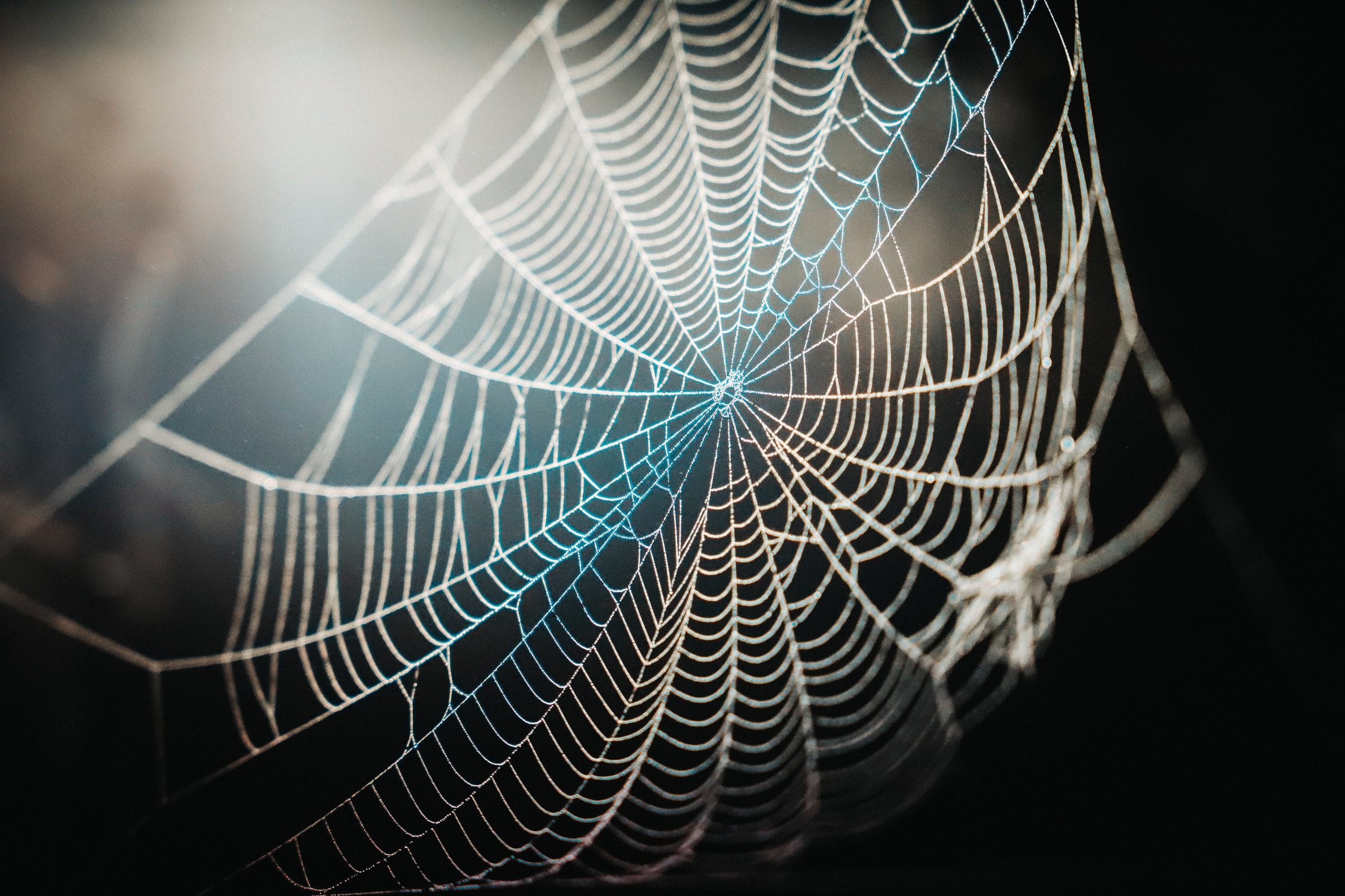 web