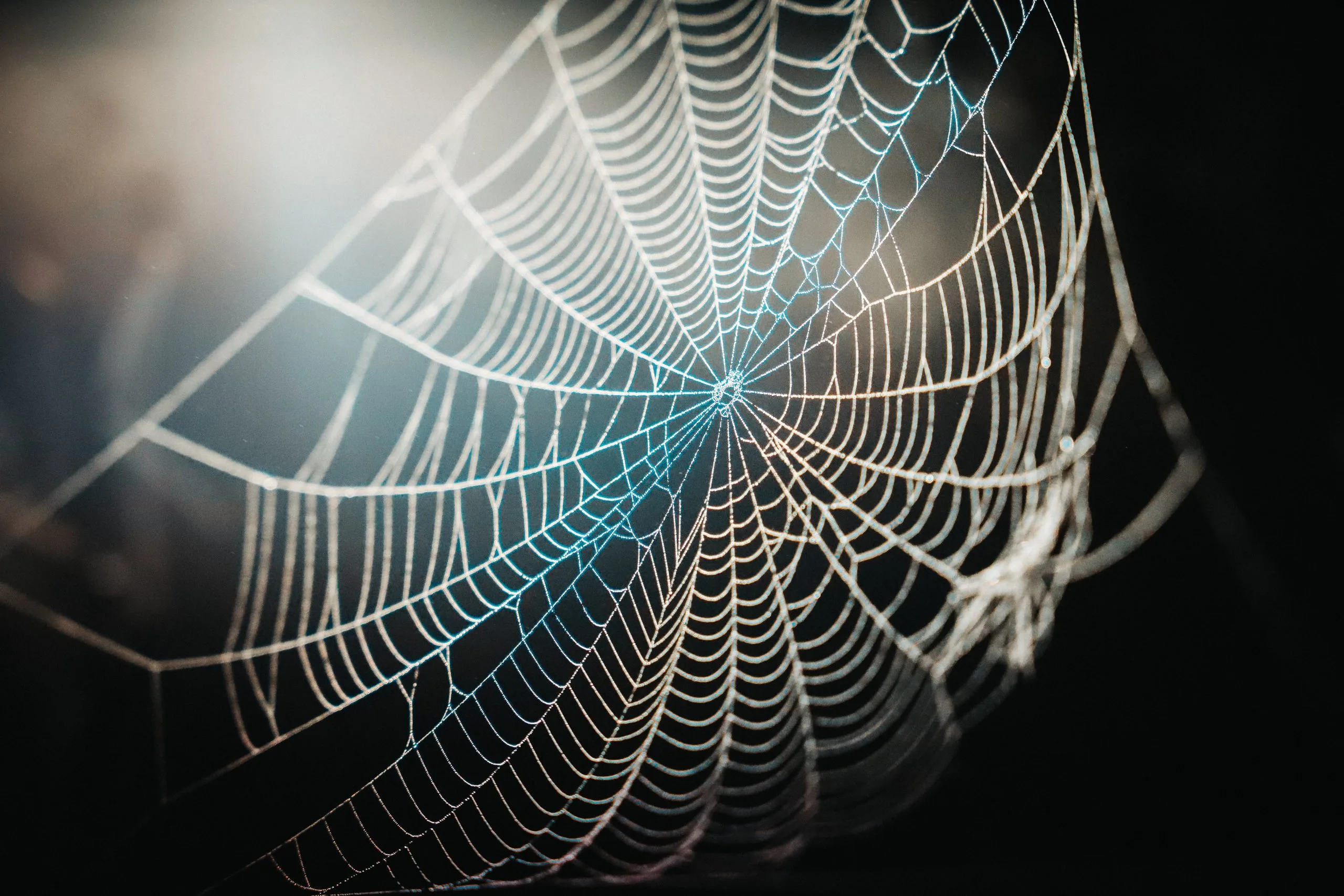 web